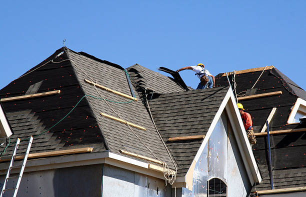 Roof Gutter Cleaning in Lockport, LA