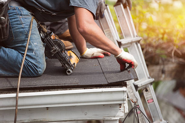 Best Roof Gutter Cleaning  in Lockport, LA
