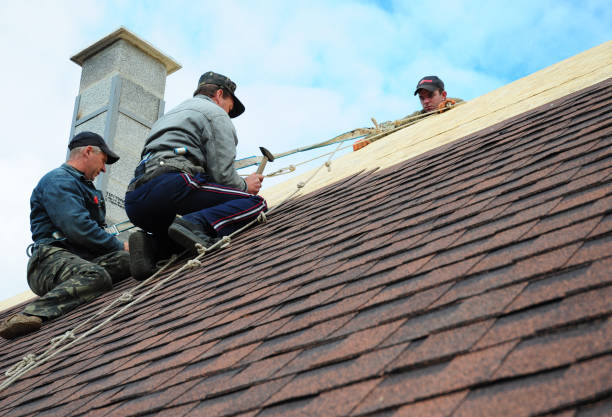 Best Roof Gutter Cleaning  in Lockport, LA